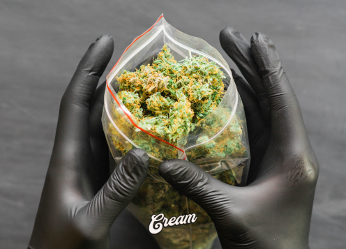 QUELLE FLEURS CBD CHOISIR
