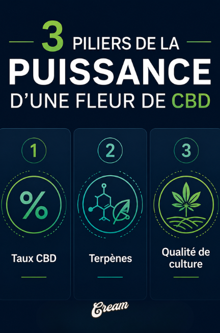 3 piliers d'une fleur CBD puissante