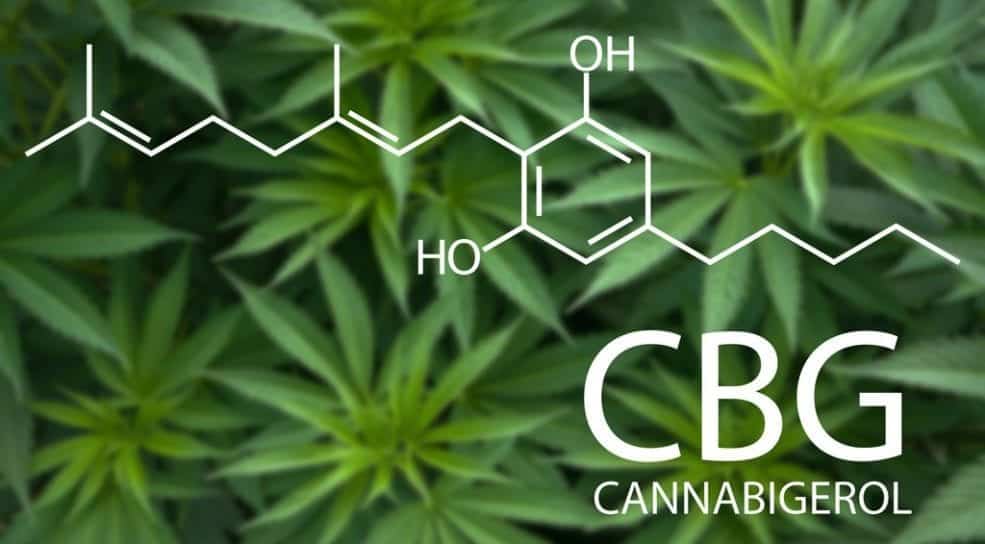 CBG-Cannabigerol-2