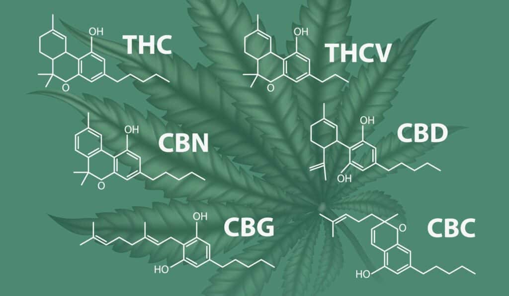 cannabinoides