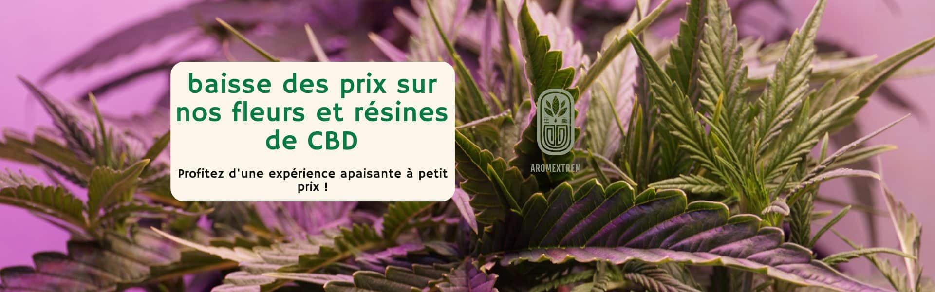 CBD pas cher
