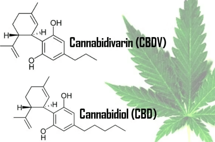 CBDV EFFET