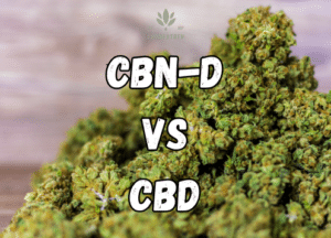 CBD VS CBND