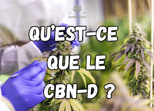 CBND C'EST QUOI ?