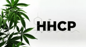 HHCP
