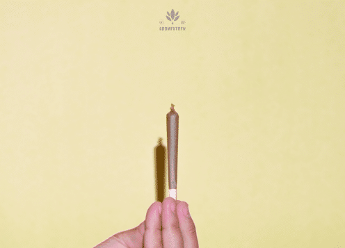 CBC VS CBD