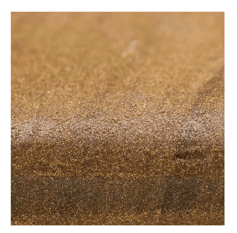 HASH Zombie Kush CBNP