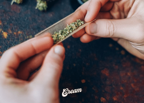 tabac à rouler avec cbd