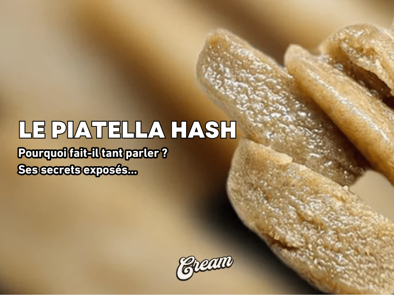 PIATELLA HASH
