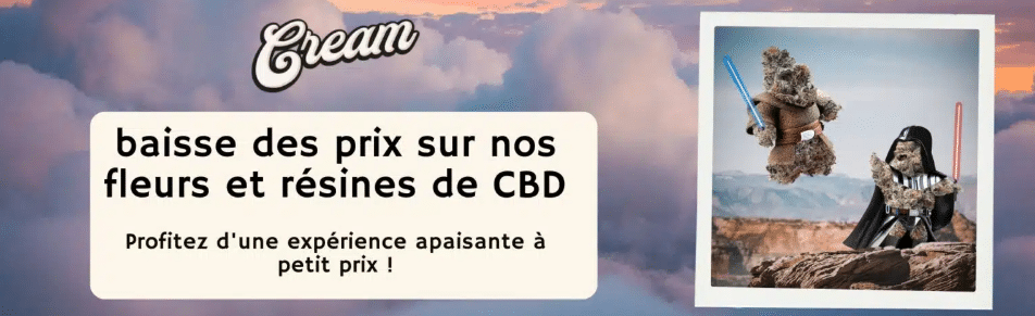 small buds cbd pas cher