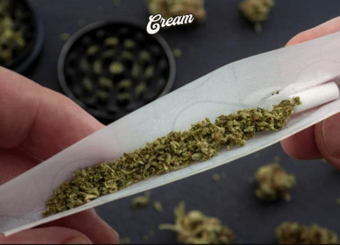 small buds alternative tabac