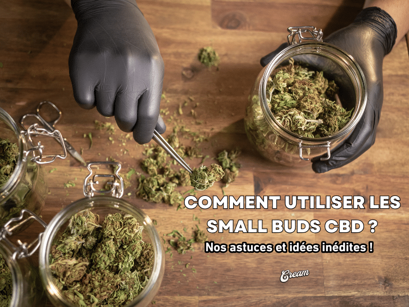 small buds cbd utilisation