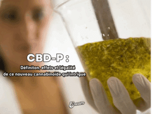 CBDP