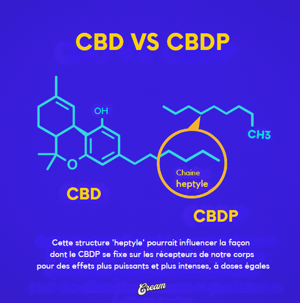 cbdp cbd difference
