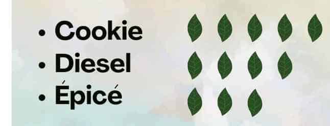 gmo cookies saveurs